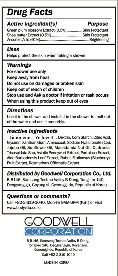 Bodyvita Shower Filter (Bodyvita Shower Filter Lemon Label)